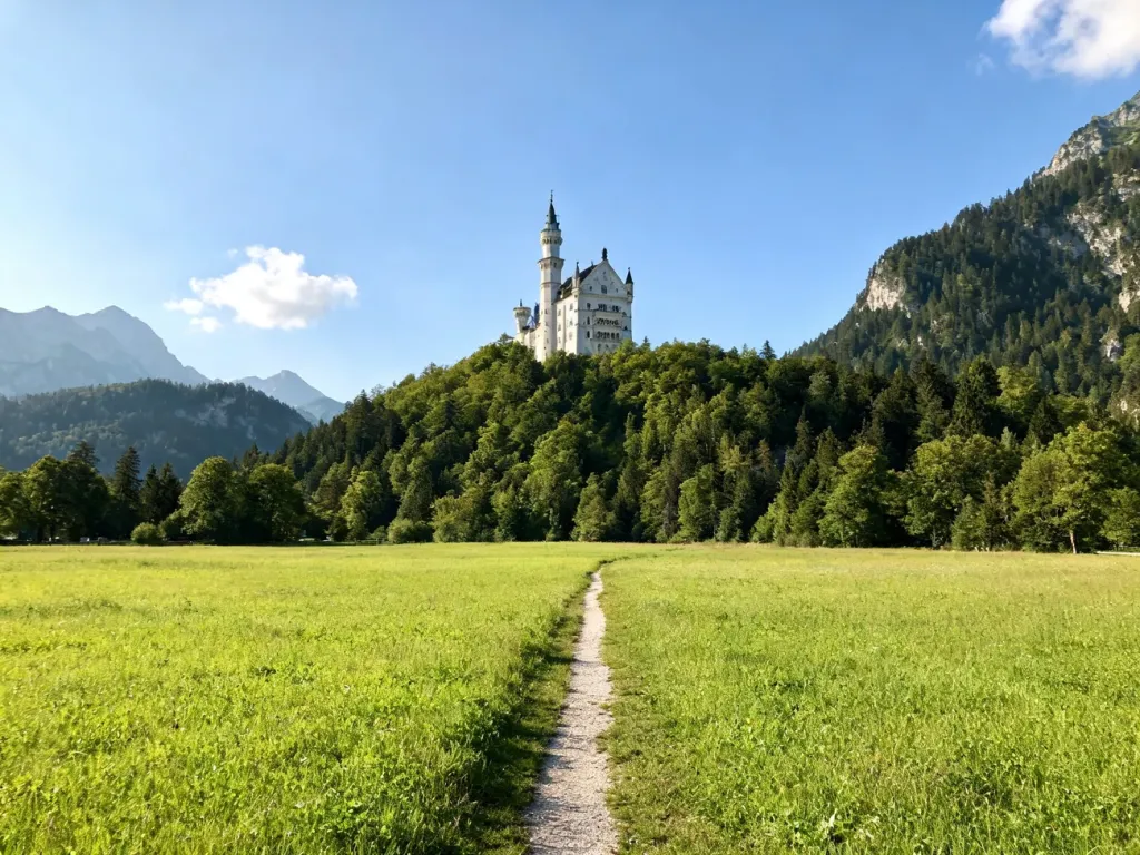 Zamek Neuschwanstein na wzgórzu otoczony lasem, z polną ścieżką prowadzącą przez łąkę, idealny cel wycieczki po Bawarii.