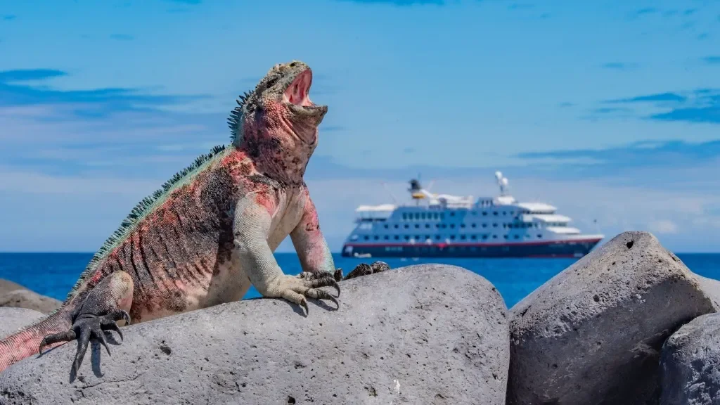 Galapagos HX cruise